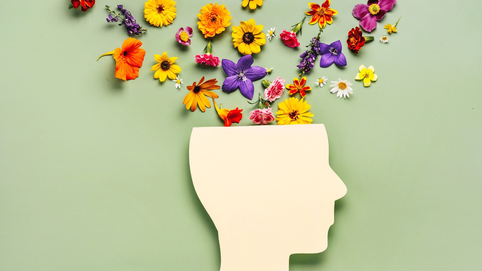 Silhouette of a human head with colorful flowers blooming from it.