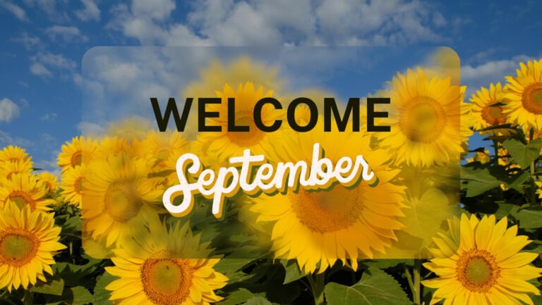 Bright sunflower field with a welcoming message for September.